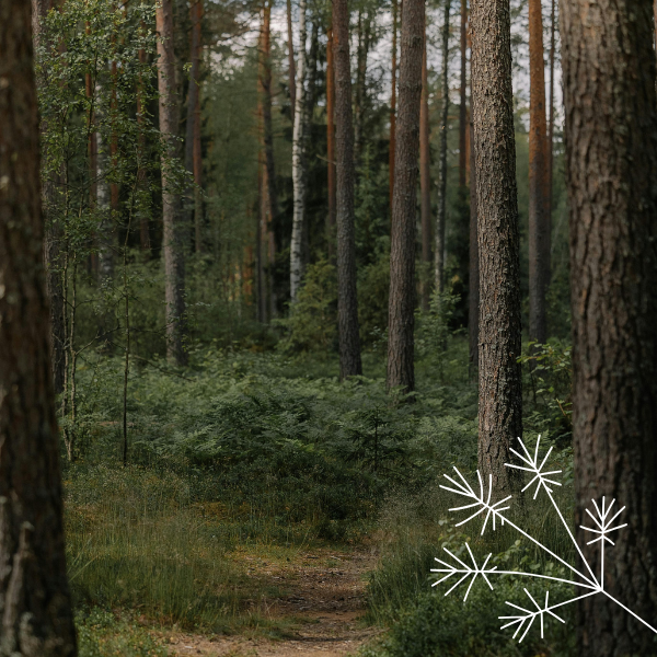 Waldbaden_ElternKind